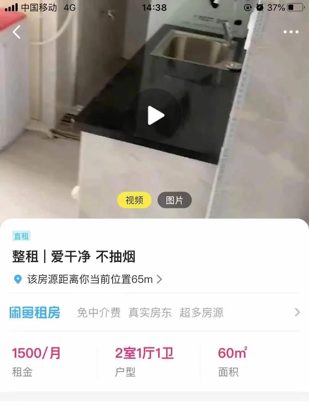 閑魚111.jpg